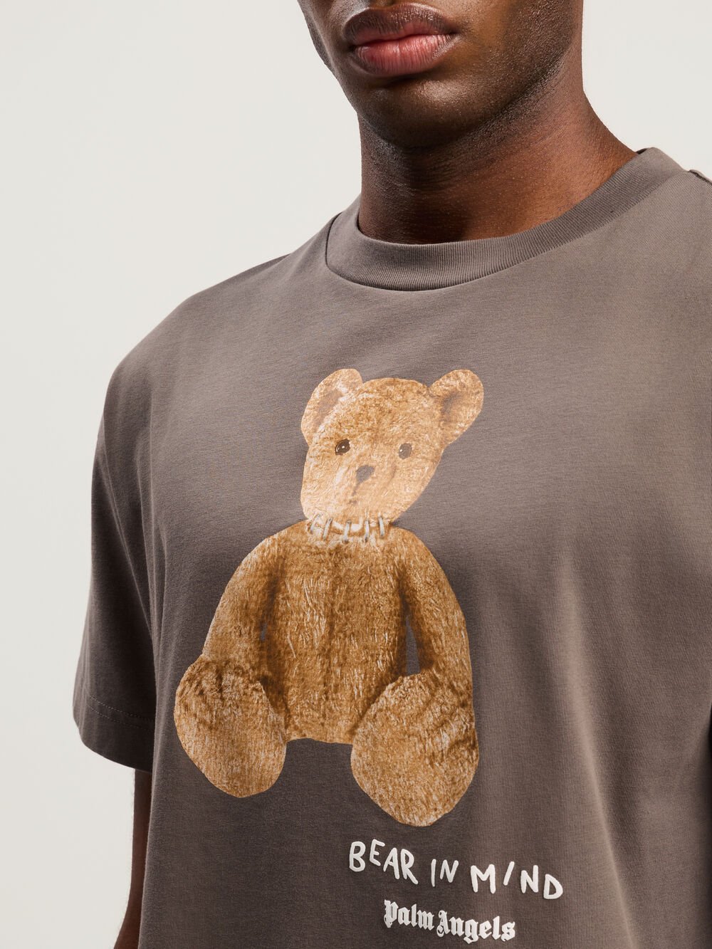 Bear In Mind T-Shirt in DARK GREY - BROWN for Men
