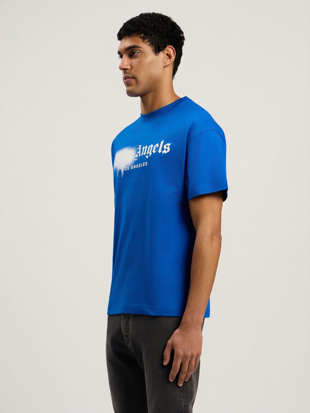 Spray City Los Angeles T-Shirt in Blu/White for Men