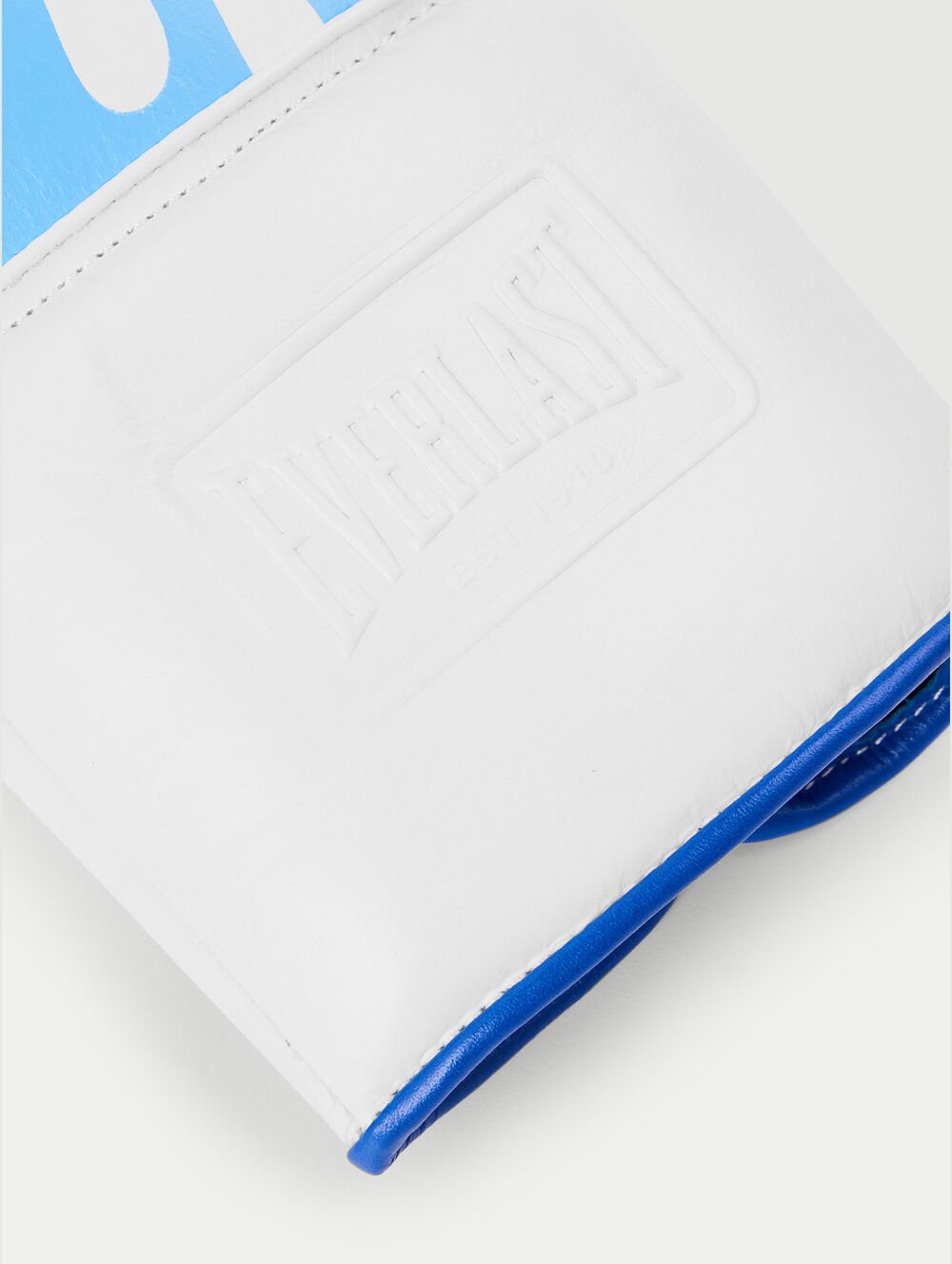 Pa X Everlast Gloves in WHITE NAVY BLUE for Men